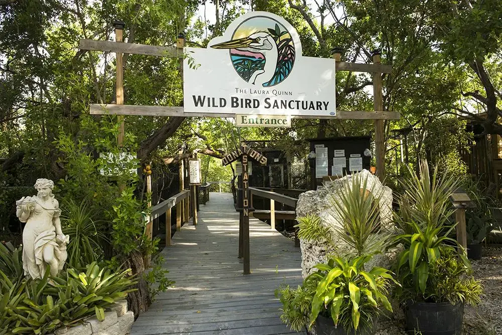 Florida Keys Wild Bird Centre
